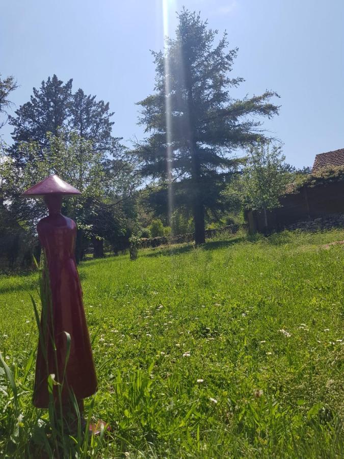 Auberge De Carlucet Esterno foto
